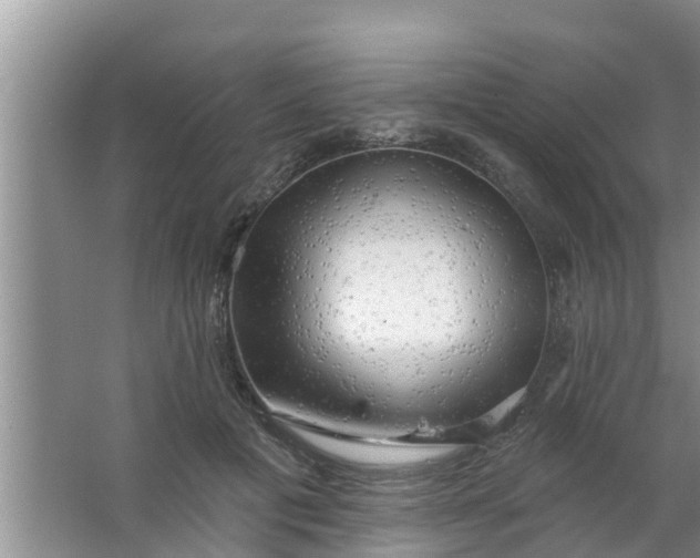 X0000063530601200602032138