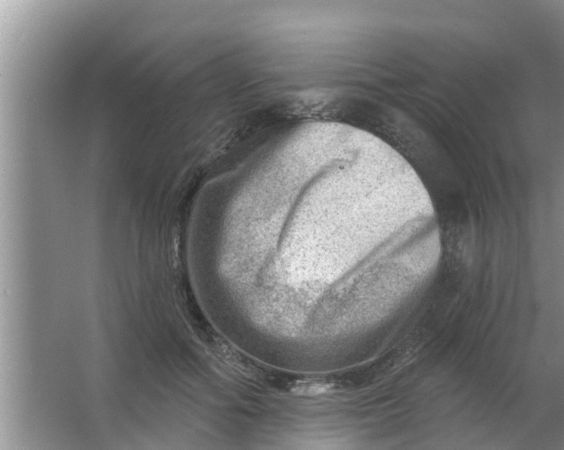 X0000063530602200602032138