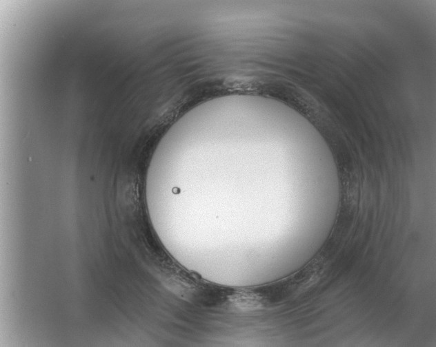 X0000063530603200602032138