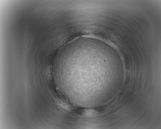 X0000063530605200602032138