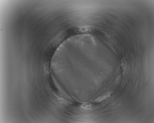 X0000063530606200602032138