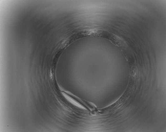 X0000063530607200602032138