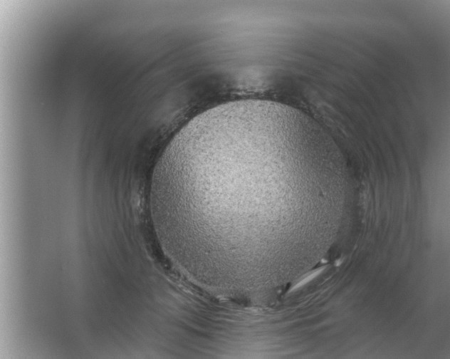 X0000063530608200602032138