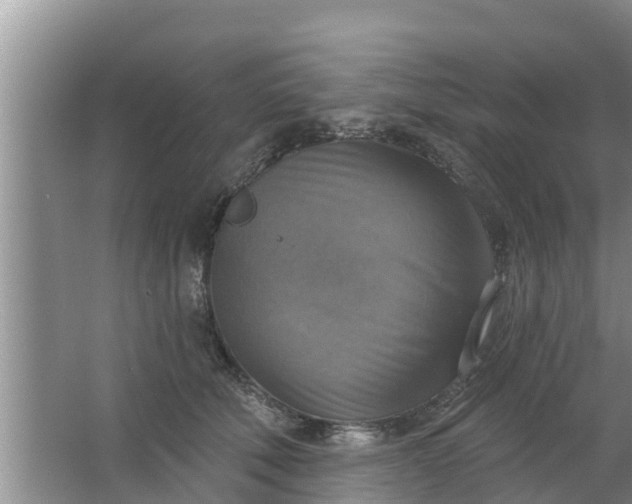 X0000063530610200602032138