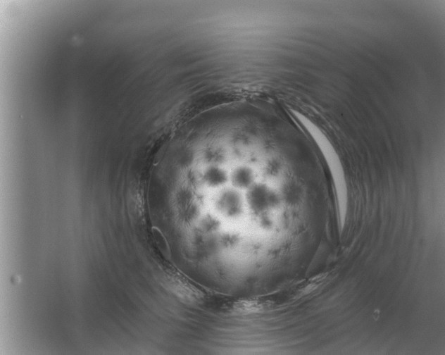 X0000063530613200602032138