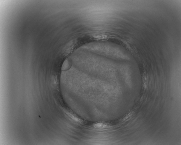 X0000063530614200602032138