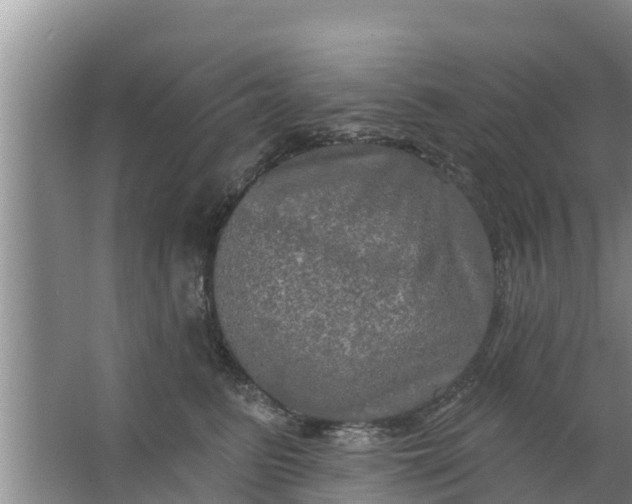 X0000063530615200602032138