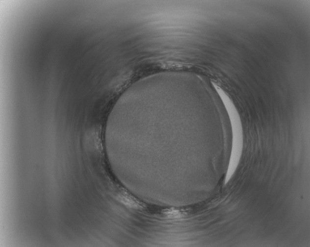 X0000063530616200602032138