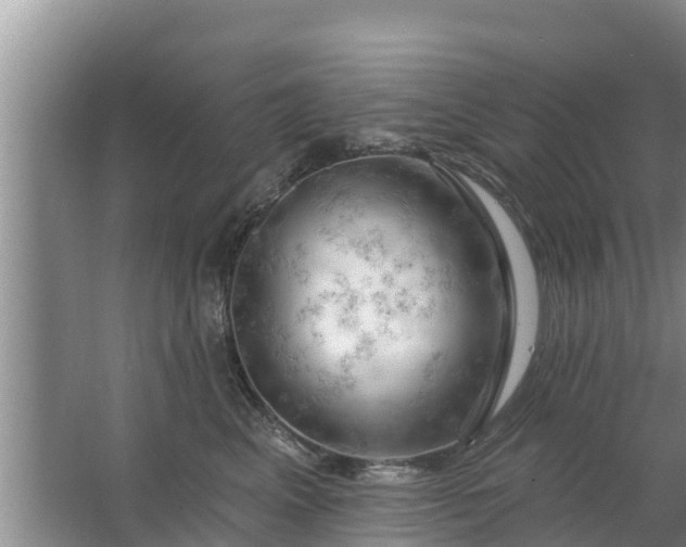 X0000063530617200602032138