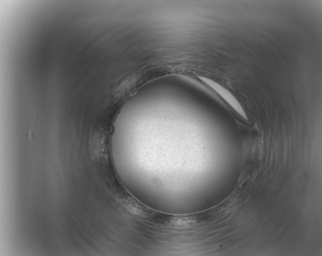 X0000063530619200602032138