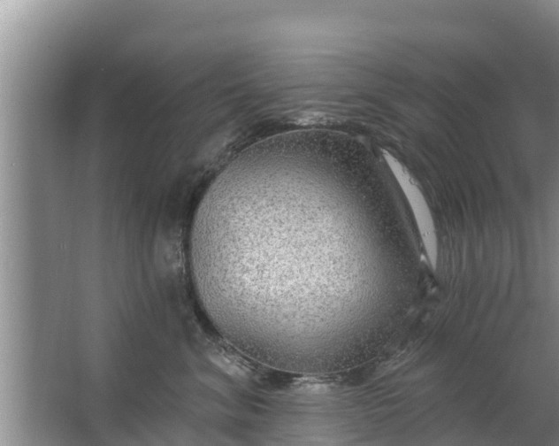 X0000063530620200602032138