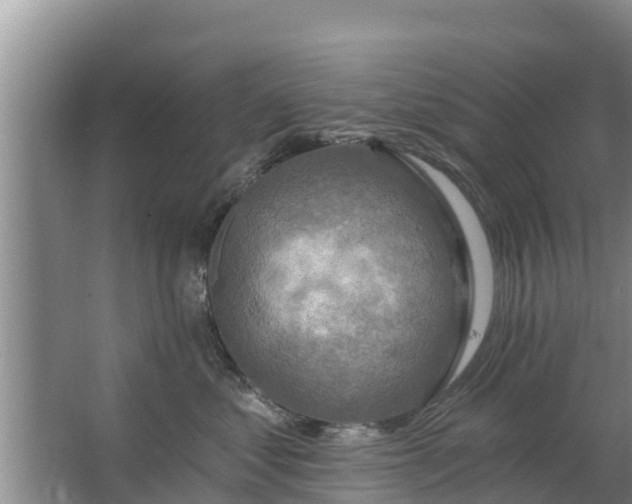 X0000063530621200602032138