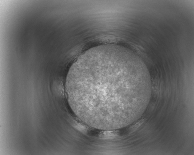 X0000063530622200602032138