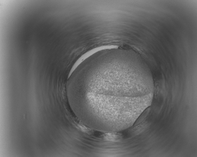 X0000063530623200602032138