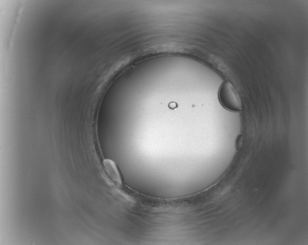 X0000063530625200602032137