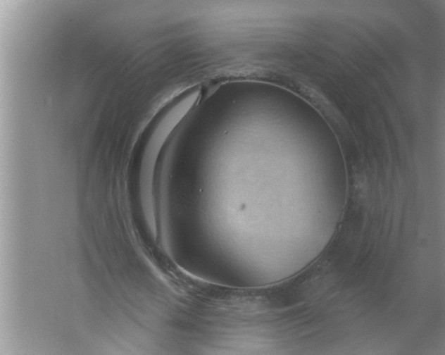 X0000063530626200602032137