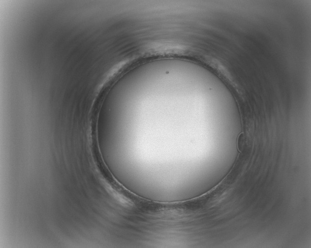 X0000063530629200602032137