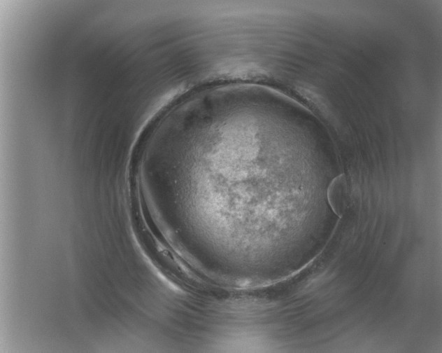 X0000063530630200602032137