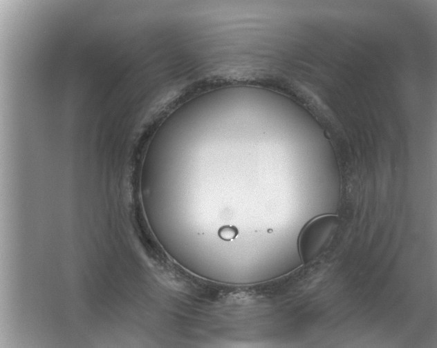 X0000063530635200602032137