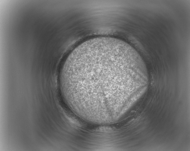 X0000063530636200602032137