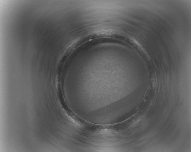 X0000063530637200602032137