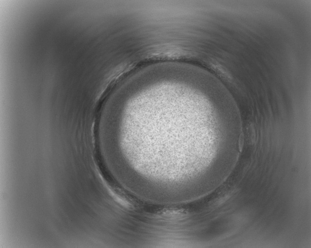 X0000063530638200602032137