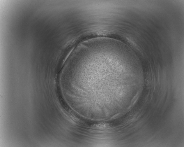 X0000063530639200602032137