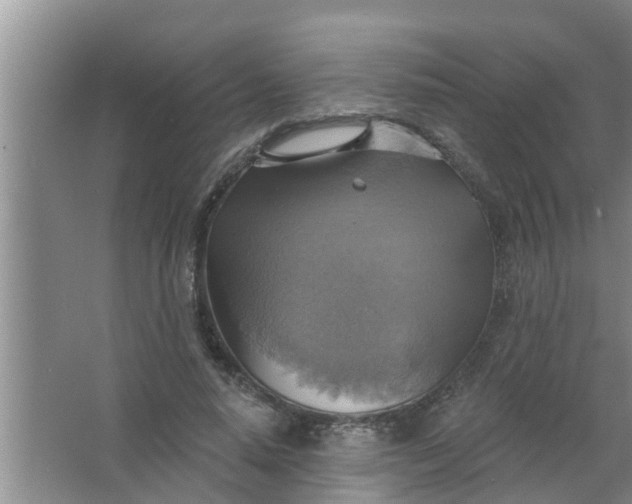 X0000063530640200602032137