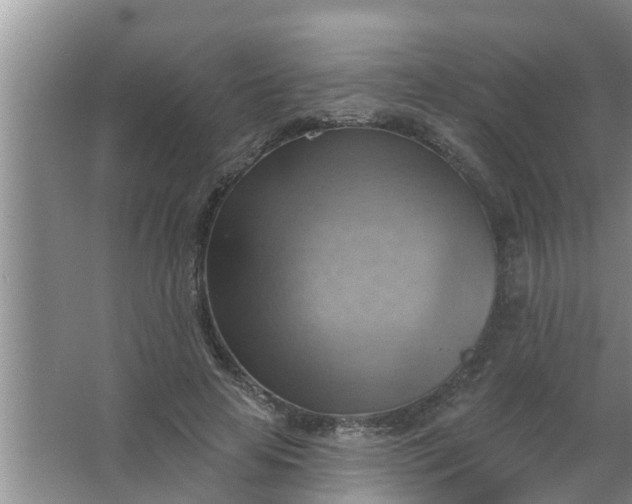 X0000063530641200602032137