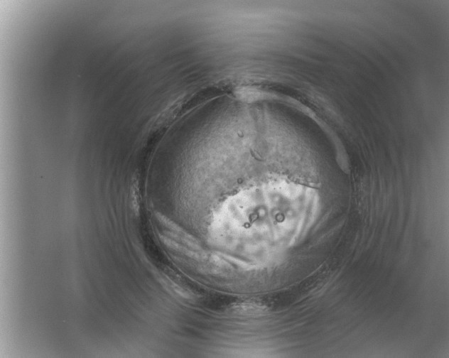 X0000063530644200602032137