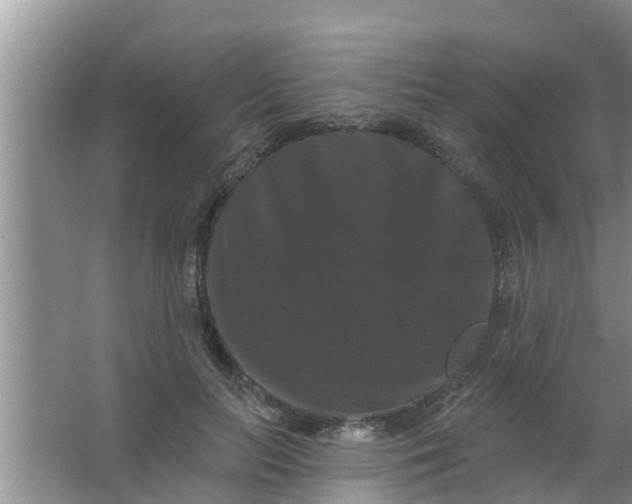 X0000063530647200602032137