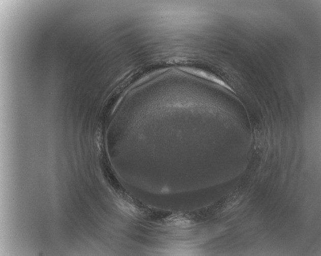 X0000063530648200602032137