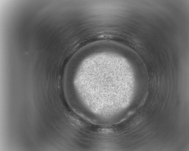 X0000063530649200602032137