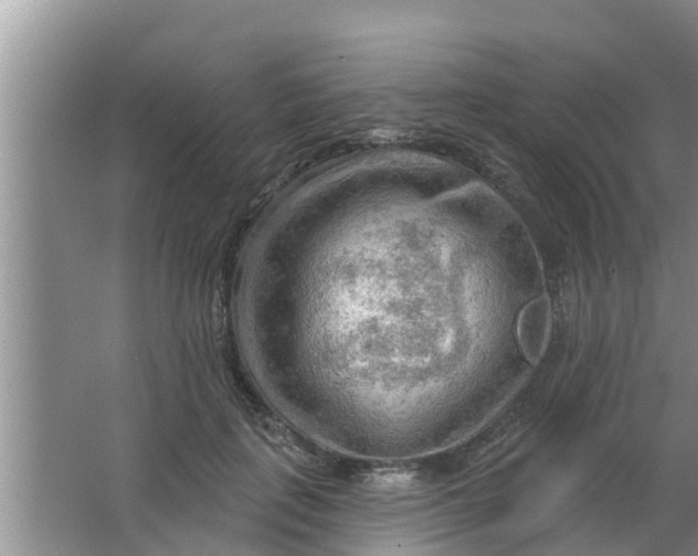 X0000063530651200602032137