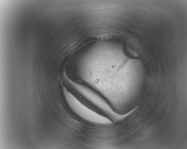 X0000063530652200602032137