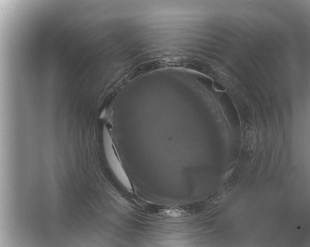 X0000063530654200602032137