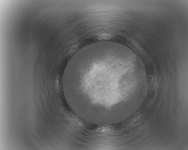 X0000063530655200602032137