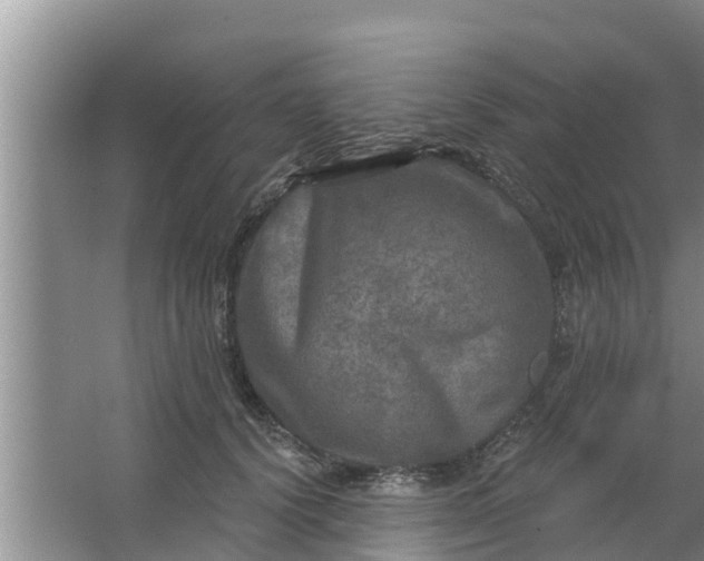 X0000063530656200602032137