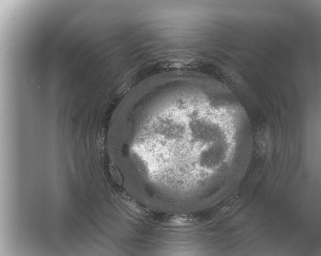 X0000063530657200602032137