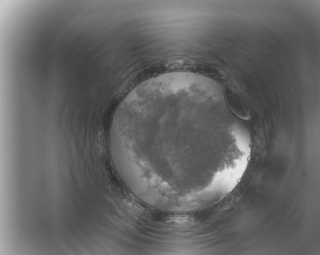 X0000063530659200602032137