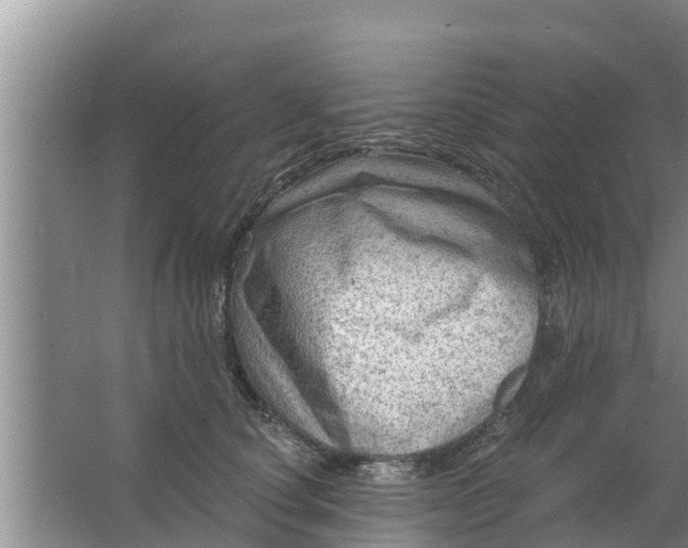 X0000063530660200602032137