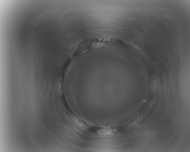 X0000063530661200602032137