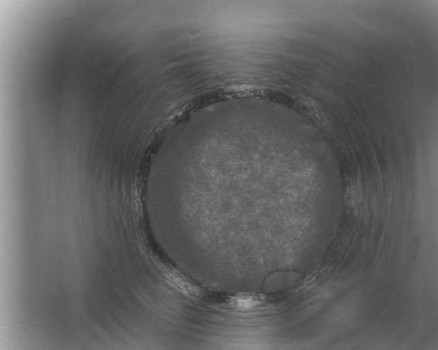 X0000063530662200602032137