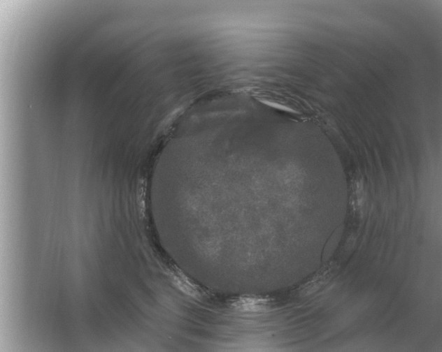 X0000063530664200602032137