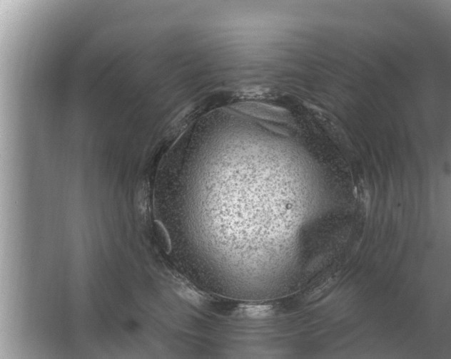 X0000063530665200602032137