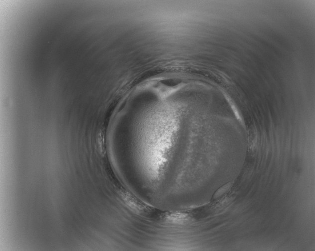 X0000063530669200602032137