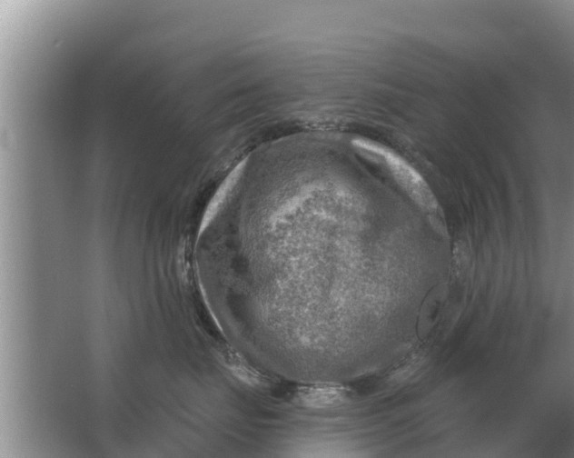 X0000063530671200602032137