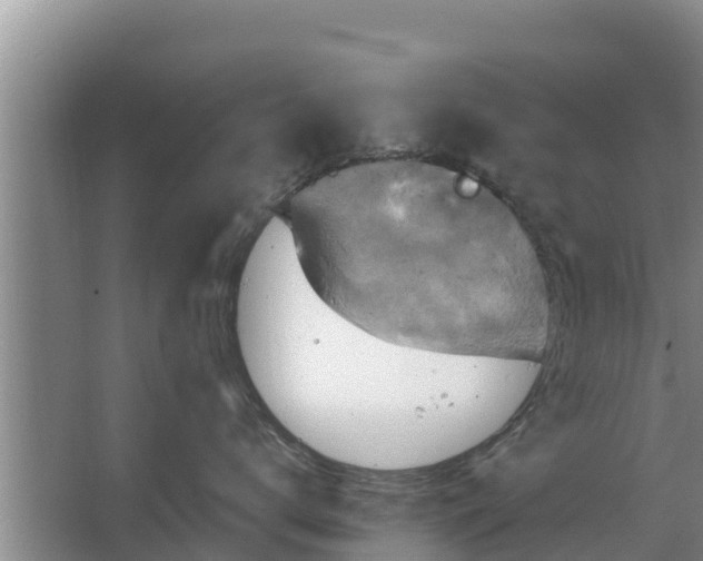 X0000063530672200602032137