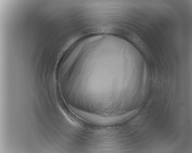 X0000063530674200602032137