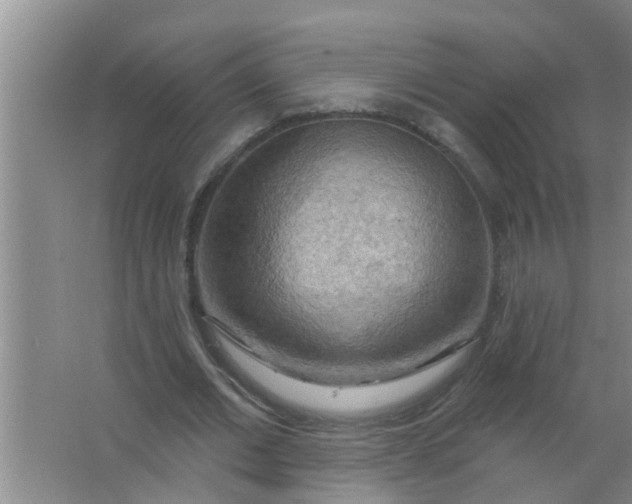 X0000063530677200602032137